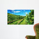 Waiheke Vineyard Wall Mural