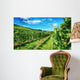 Waiheke Vineyard Wall Mural