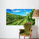 Waiheke Vineyard Wall Mural