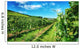 Waiheke Vineyard Wall Mural