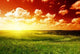 Summer Landscape Wall Decal