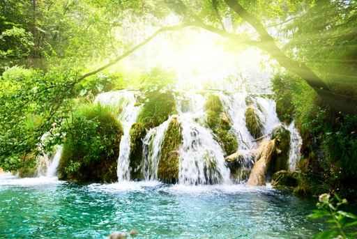Waterfall Deep Forest Wall Decal Design 2