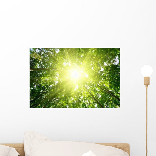 Rays Sun Forest Wall Decal