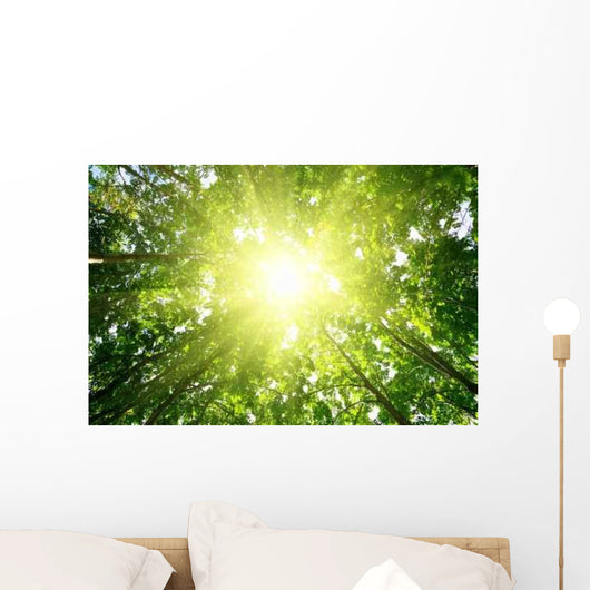 Rays Sun Forest Wall Decal