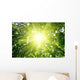 Rays Sun Forest Wall Decal