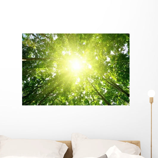 Rays Sun Forest Wall Decal