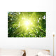 Rays Sun Forest Wall Decal
