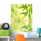 Bamboo Leaves Reflected in Rendered Water Wall Mural