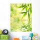 Bamboo Leaves Reflected in Rendered Water Wall Mural