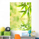 Bamboo Leaves Reflected in Rendered Water Wall Mural
