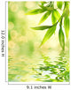 Bamboo Leaves Reflected in Rendered Water Wall Mural