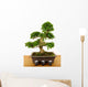 Bonsaibougie Wall Decal