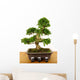 Bonsaibougie Wall Decal