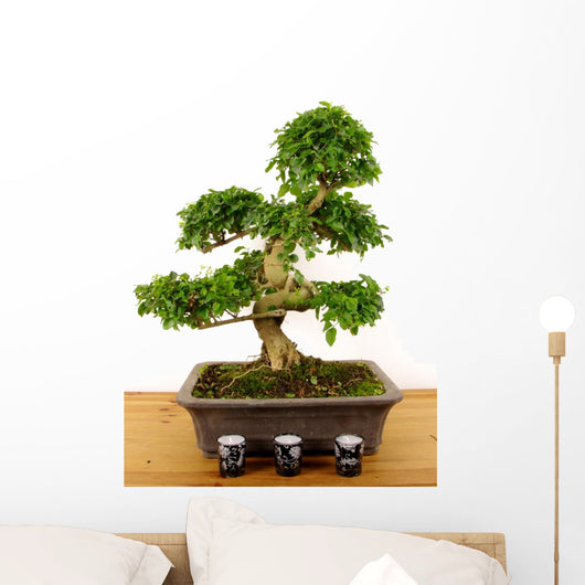 Bonsaibougie Wall Decal
