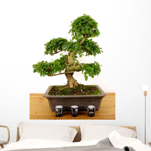 Bonsaibougie Wall Decal
