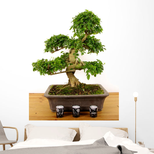 Bonsaibougie Wall Decal