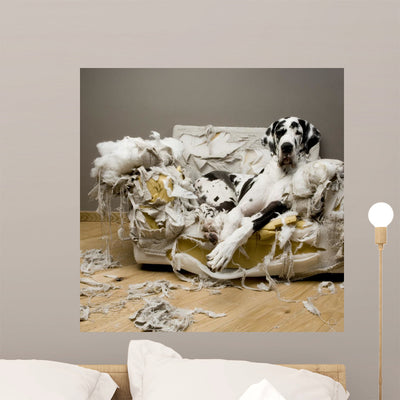 Nice Doggie Wall Mural shown on a wall