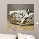 Nice the Doggie Wall Mural