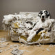 Nice the Doggie Wall Mural