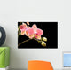 Orchid Wall Mural