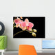 Orchid Wall Mural