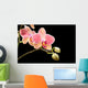 Orchid Wall Mural
