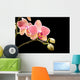 Orchid Wall Mural