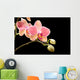 Orchid Wall Mural