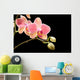 Orchid Wall Mural