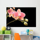Orchid Wall Mural