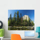 El Capitan Wall Mural