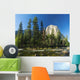 El Capitan Wall Mural