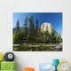 El Capitan Wall Mural