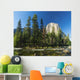 El Capitan Wall Mural