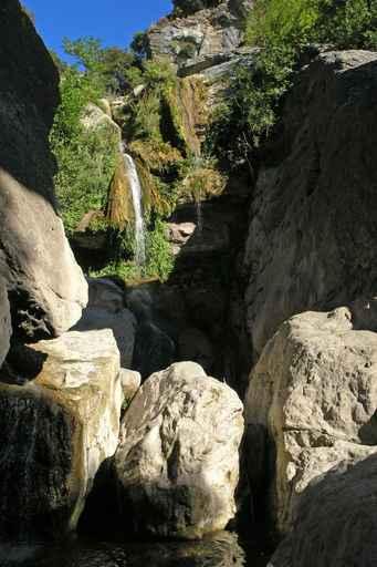 Cascade L'ucelluline Wall Decal
