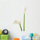 Calla Lilly Wall Decal