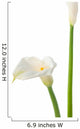 Calla Lilly Wall Decal
