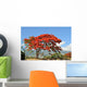 Flamboyant De La Runion Wall Mural