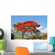 Flamboyant De La Runion Wall Mural