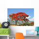 Flamboyant De La Runion Wall Mural