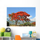Flamboyant De La Runion Wall Mural
