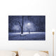 Winter park at night Wall Mural