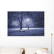 Winter park at night Wall Mural