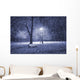 Winter park at night Wall Mural