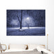 Winter park at night Wall Mural