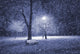 Winter park at night Wall Mural