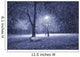 Winter park at night Wall Mural