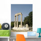 Olympie Wall Decal
