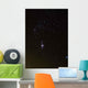 Orion Rebel Wall Decal