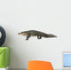 American Alligator 30 Years - Alligator Mississippiensis Wall Decal